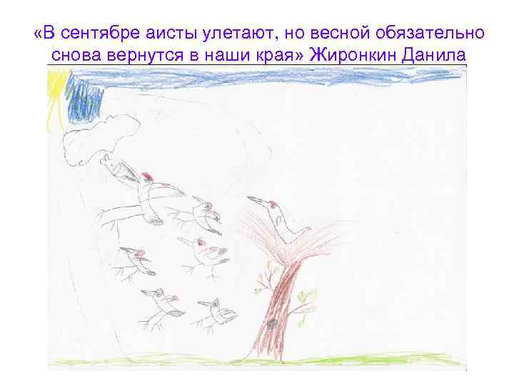  «В сентябре аисты улетают, но весной обязательно снова вернутся в наши края» Жиронкин