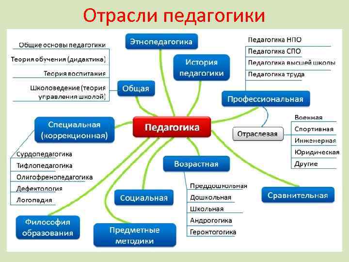 Отрасли педагогики 