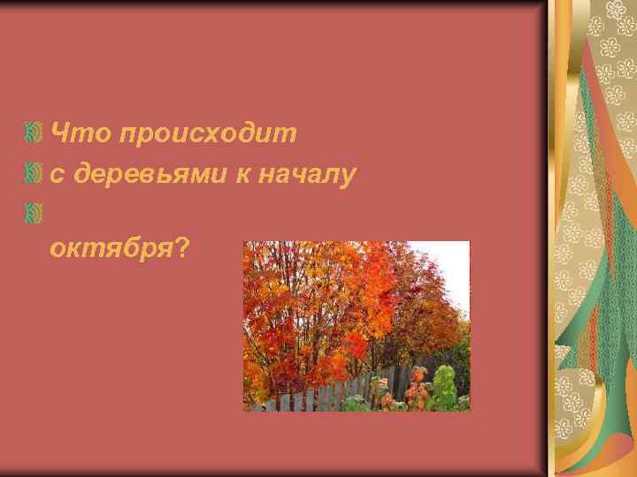 Что происходит с деревьями к началу октября? 