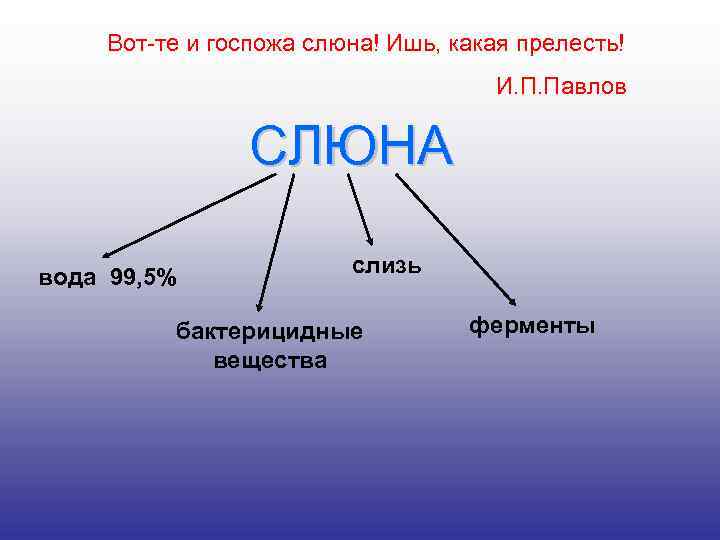 Вот-те и госпожа слюна! Ишь, какая прелесть! И. П. Павлов СЛЮНА вода 99, 5%