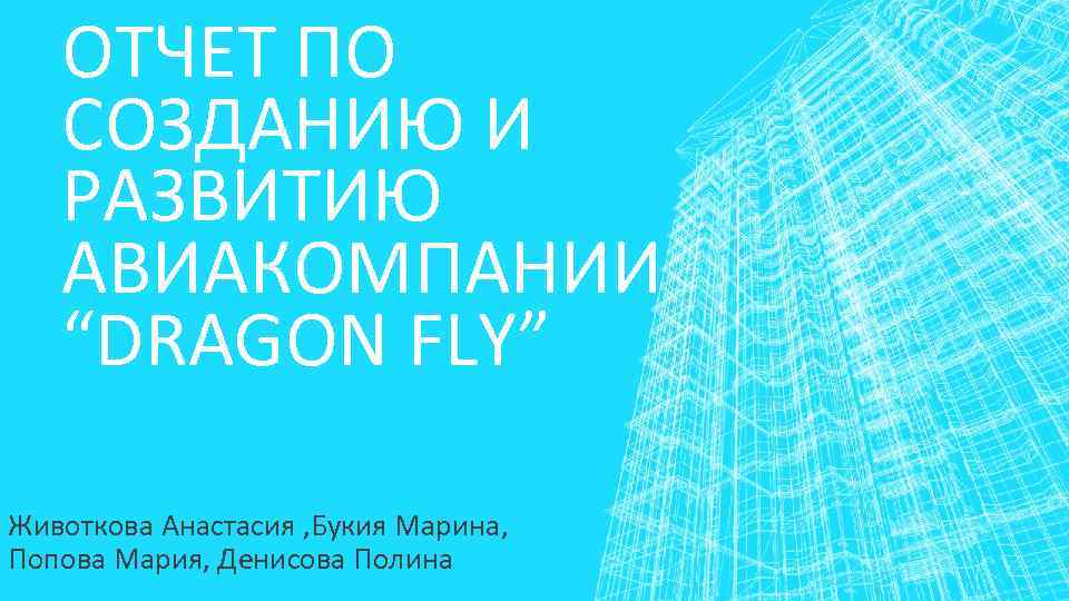 ОТЧЕТ ПО СОЗДАНИЮ И РАЗВИТИЮ АВИАКОМПАНИИ “DRAGON FLY” Животкова Анастасия , Букия Марина, Попова