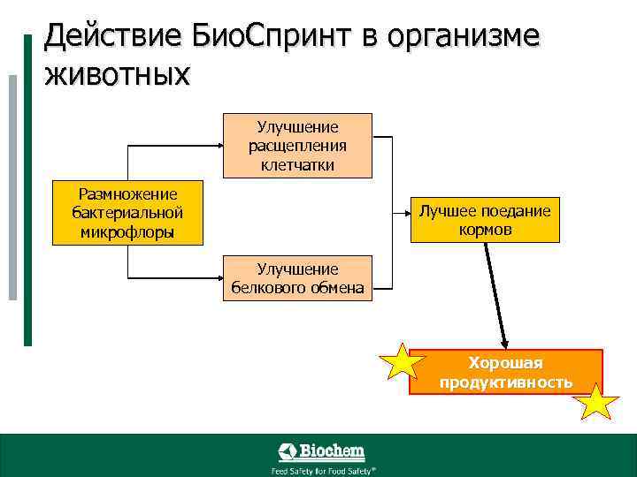 Действие Био. Спринт в организме животных Улучшение расщепления клетчатки Размножение бактериальной микрофлоры Лучшее поедание
