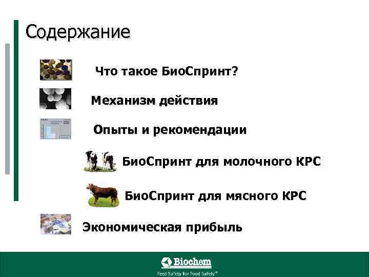 Содержание Что такое Био. Спринт? Механизм действия Опыты и рекомендации Био. Спринт для молочного