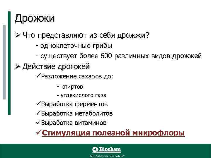 Дрожжи Ø Что представляют из себя дрожжи? - одноклеточные грибы - существует более 600