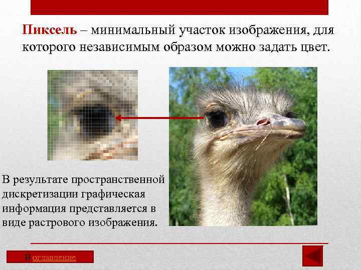 Пиксель – минимальный участок изображения, для которого независимым образом можно задать цвет. В результате