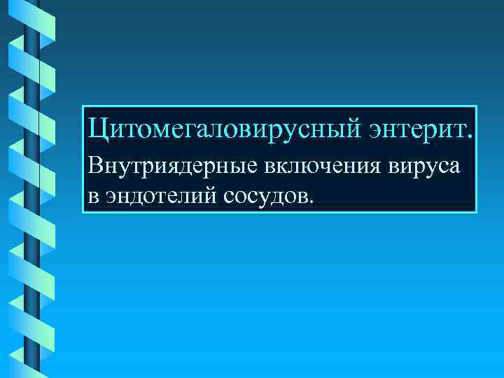 Цитомегаловирусный энтерит. Внутриядерные включения вируса в эндотелий сосудов. 
