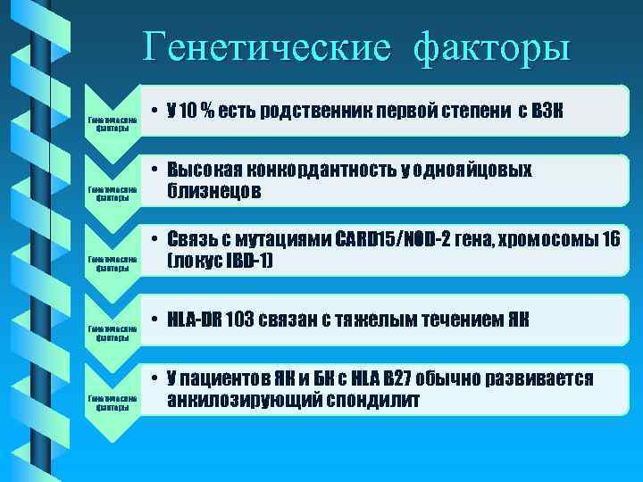 Генетические факторы • У 10 % есть родственник первой степени с ВЗК Генетические факторы
