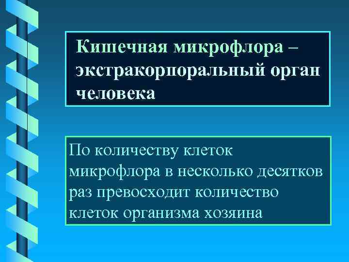 Кишечная микрофлора – экстракорпоральный орган человека По количеству клеток микрофлора в несколько десятков раз