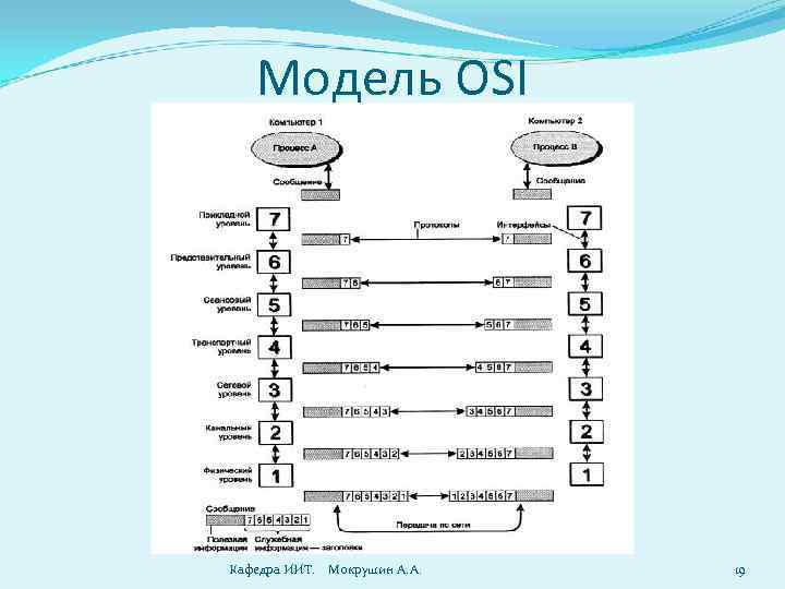 Модель OSI Кафедра ИИТ. Мокрушин А. А. 19 