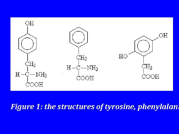 Figure 1: the structures of tyrosine, phenylalani 