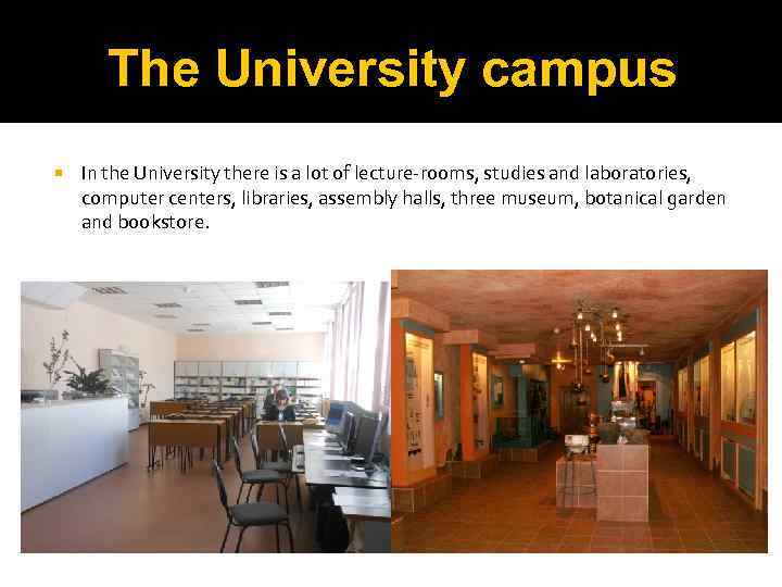 The University campus In the University there is a lot of lecture-rooms, studies and