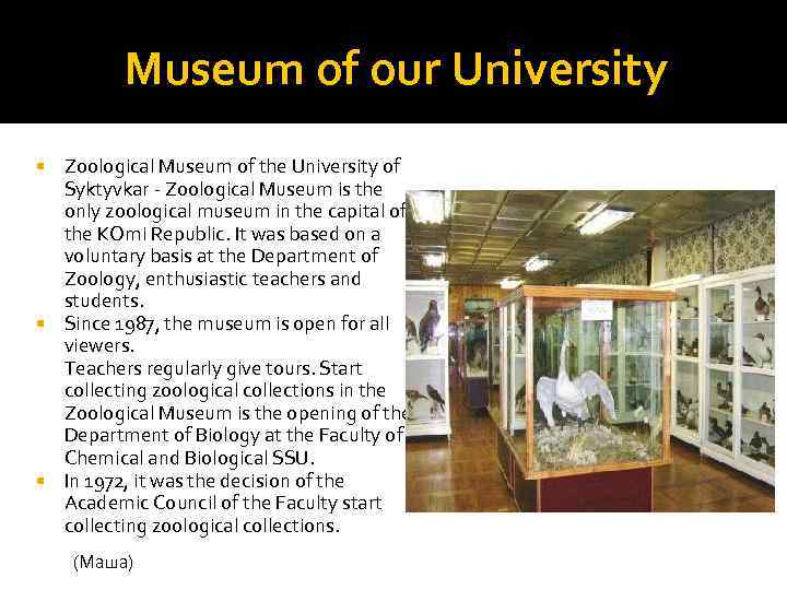 Museum of our University Zoological Museum of the University of Syktyvkar - Zoological Museum