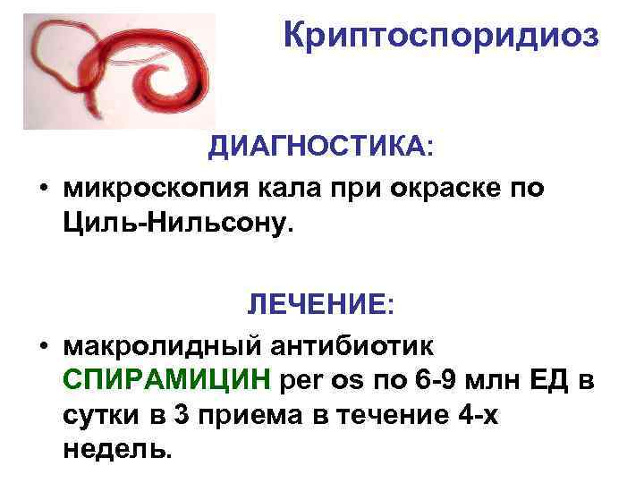 Криптоспоридиоз ДИАГНОСТИКА: • микроскопия кала при окраске по Циль-Нильсону. ЛЕЧЕНИЕ: • макролидный антибиотик СПИРАМИЦИН