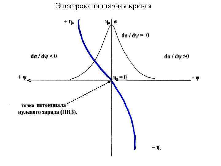 Электрокапиллярная кривая 