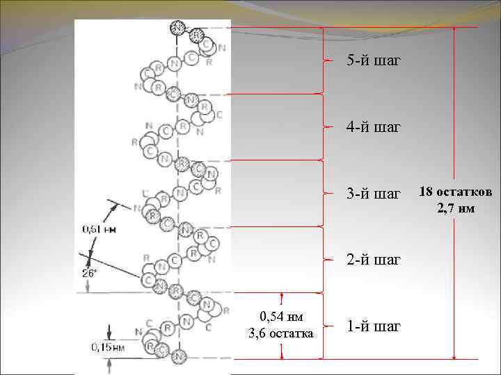 5 -й шаг 4 -й шаг 3 -й шаг 2 -й шаг 0, 54