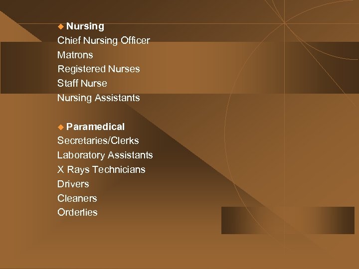 u Nursing Chief Nursing Officer Matrons Registered Nurses Staff Nurse Nursing Assistants u Paramedical