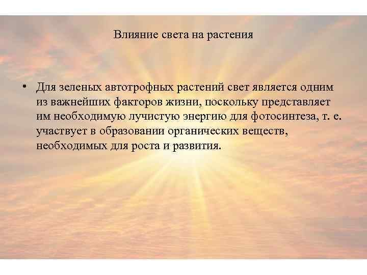 Влияние света на растения • Для зеленых автотрофных растений свет является одним из важнейших