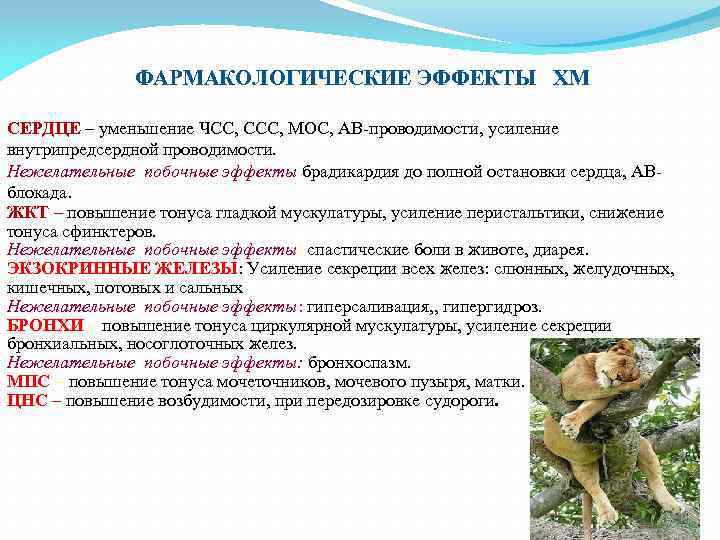 ФАРМАКОЛОГИЧЕСКИЕ ЭФФЕКТЫ ХМ СЕРДЦЕ – уменьшение ЧСС, ССС, МОС, АВ-проводимости, усиление внутрипредсердной проводимости. Нежелательные