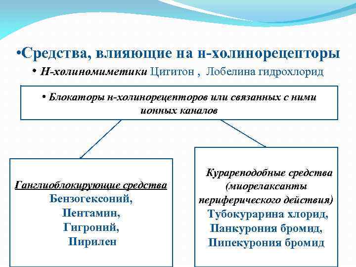  • Средства, влияющие на н-холинорецепторы • Н-холиномиметики Цититон , Лобелина гидрохлорид • Блокаторы