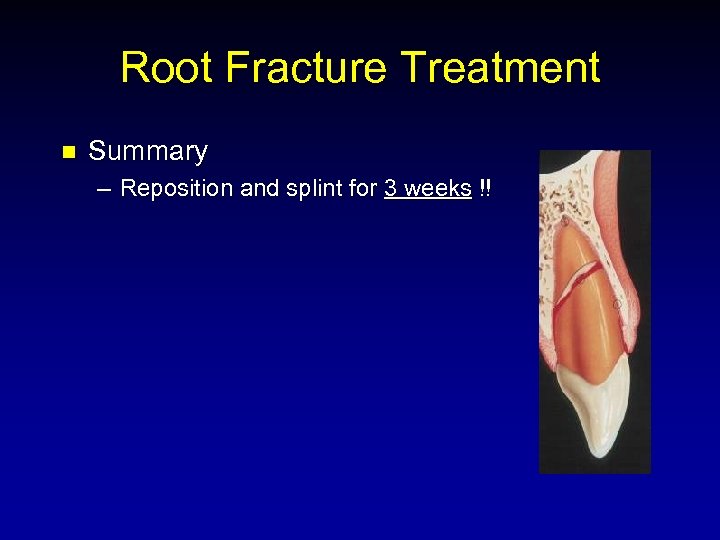 Root Fracture Treatment n Summary – Reposition and splint for 3 weeks !! 