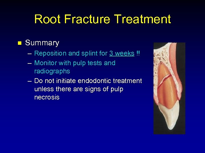 Root Fracture Treatment n Summary – Reposition and splint for 3 weeks !! –