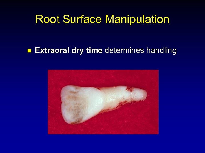Root Surface Manipulation n Extraoral dry time determines handling 