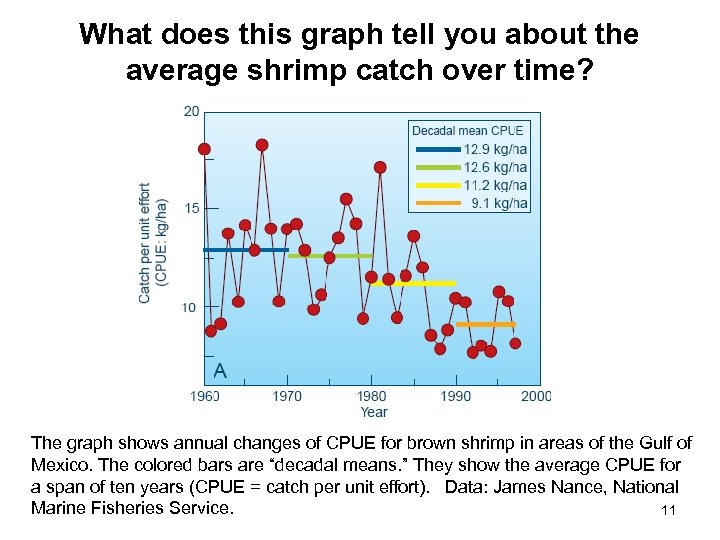 What does this graph tell you about the average shrimp catch over time? The