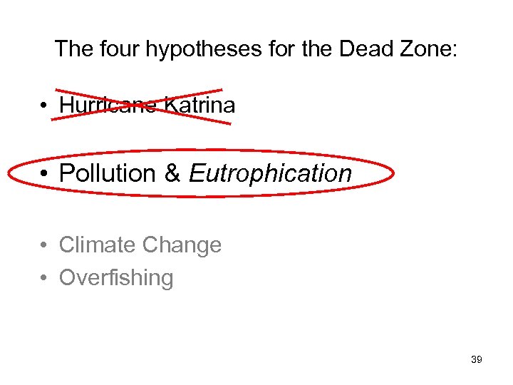 The four hypotheses for the Dead Zone: • Hurricane Katrina • Pollution & Eutrophication