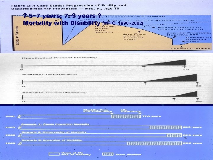 ? 5~7 years; 7~9 years ? Mortality with Disability (WHO, 1990~2002) 