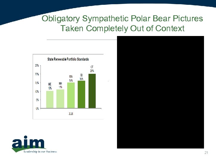 Obligatory Sympathetic Polar Bear Pictures Taken Completely Out of Context 21 