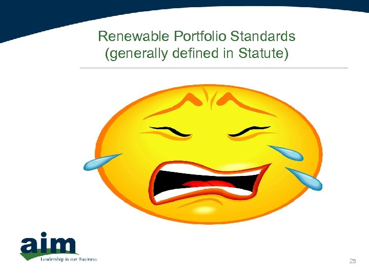 Renewable Portfolio Standards (generally defined in Statute) 25 