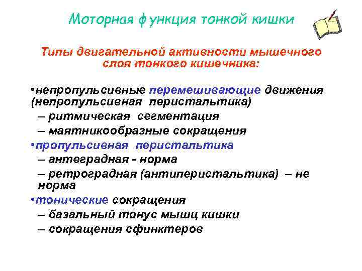 Моторная функция тонкой кишки Типы двигательной активности мышечного слоя тонкого кишечника: • непропульсивные перемешивающие