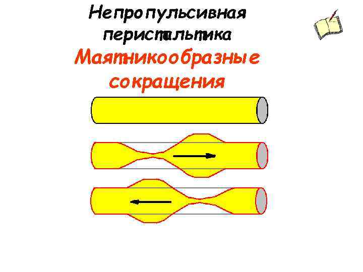 Непропульсивная перистальтика Маятникообразные сокращения 