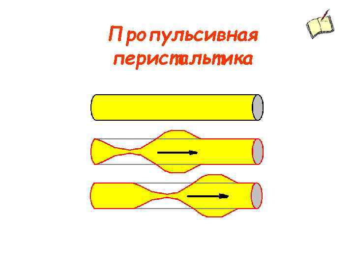 Пропульсивная перистальтика 