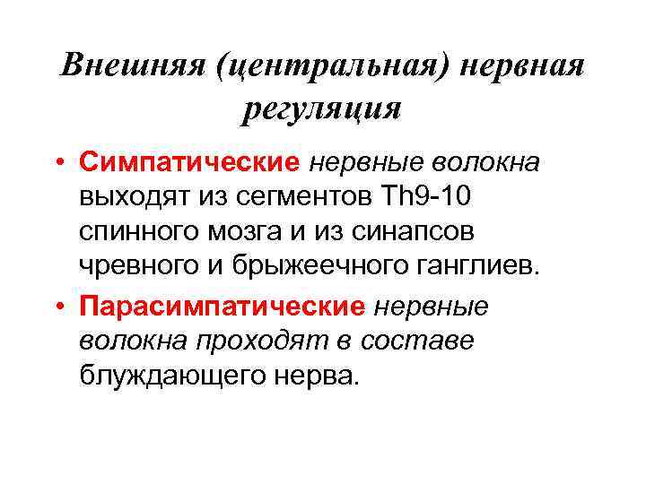 Внешняя (центральная) нервная регуляция • Симпатические нервные волокна выходят из сегментов Тh 9 -10