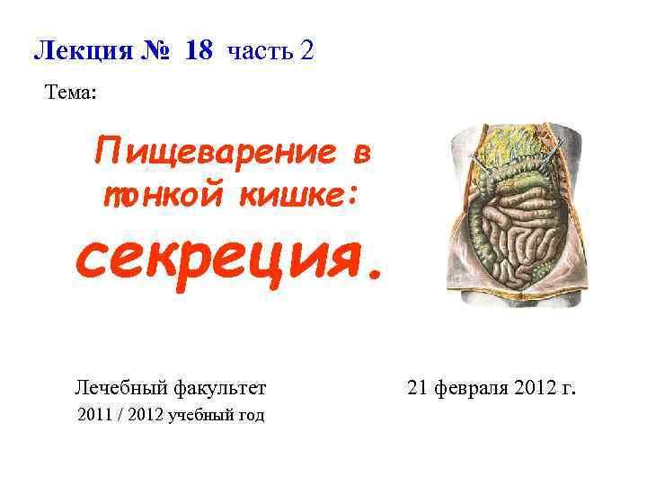 Лекция № 18 часть 2 Тема: Пищеварение в тонкой кишке: секреция. Лечебный факультет 2011