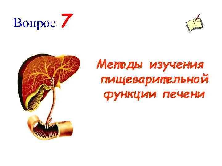 Вопрос 7 Методы изучения пищеварительной функции печени 