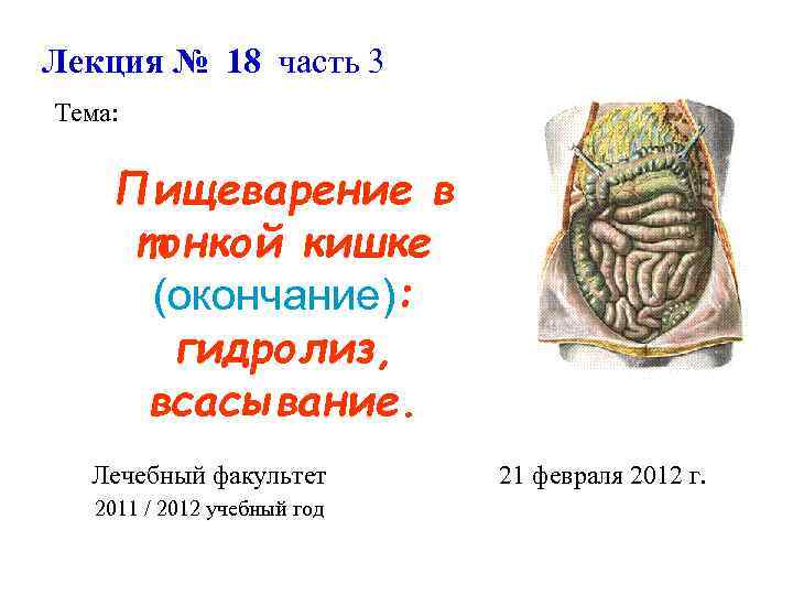 Лекция № 18 часть 3 Тема: Пищеварение в тонкой кишке (окончание): гидролиз, всасывание. Лечебный