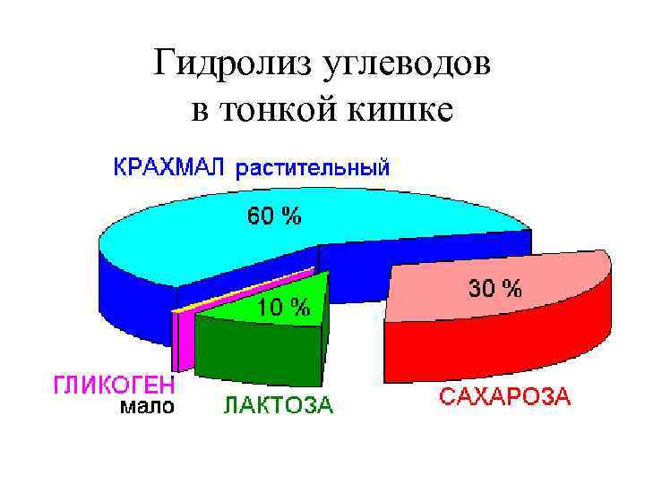 Гидролиз углеводов в тонкой кишке 