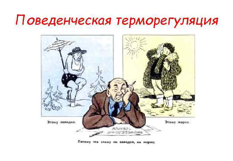 Поведенческая терморегуляция 