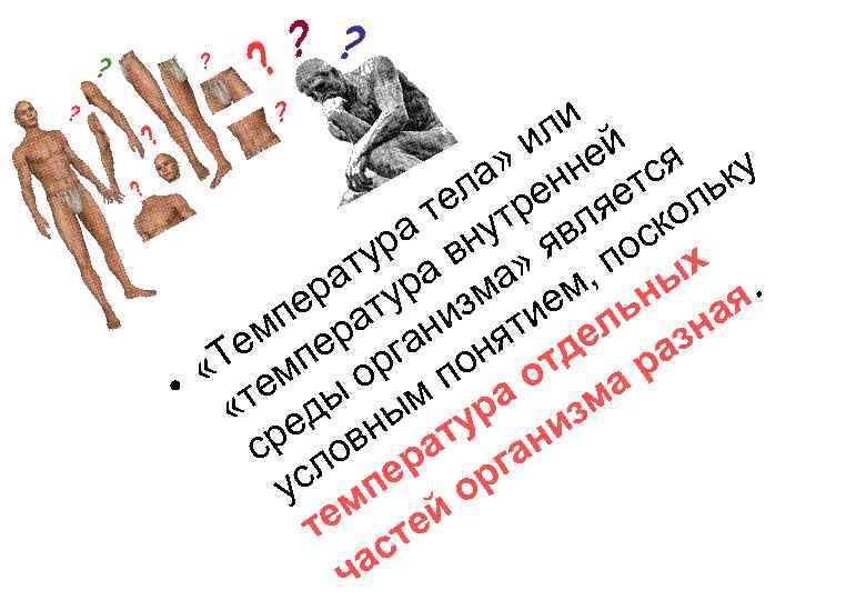 и ил ей я » нн у а е тс льк ел тр яе