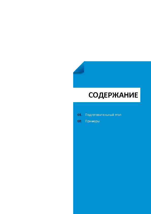СОДЕРЖАНИЕ 01. Подготовительный этап 02. Примеры 