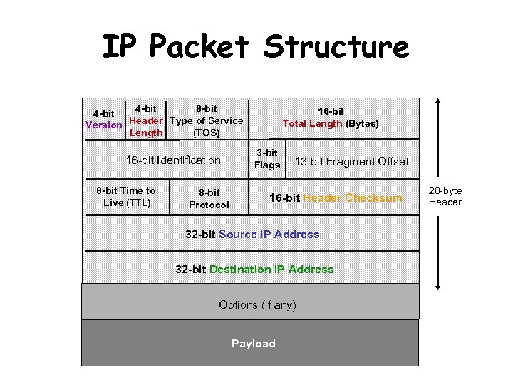 IP Packet Structure 4 -bit 8 -bit 4 -bit Version Header Type of Service