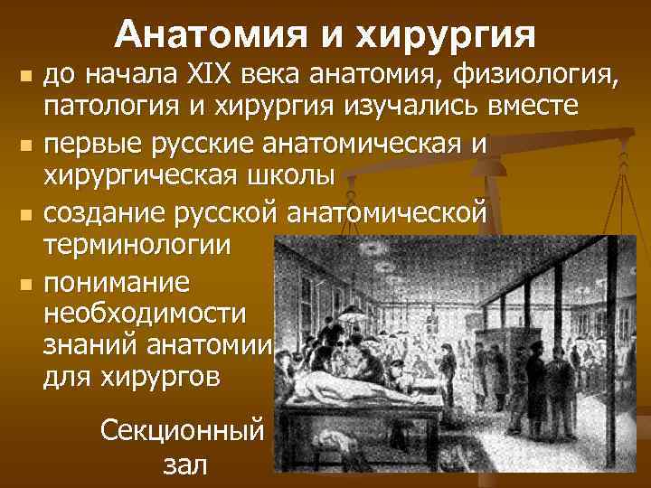 Анатомия и хирургия n n до начала XIX века анатомия, физиология, патология и хирургия
