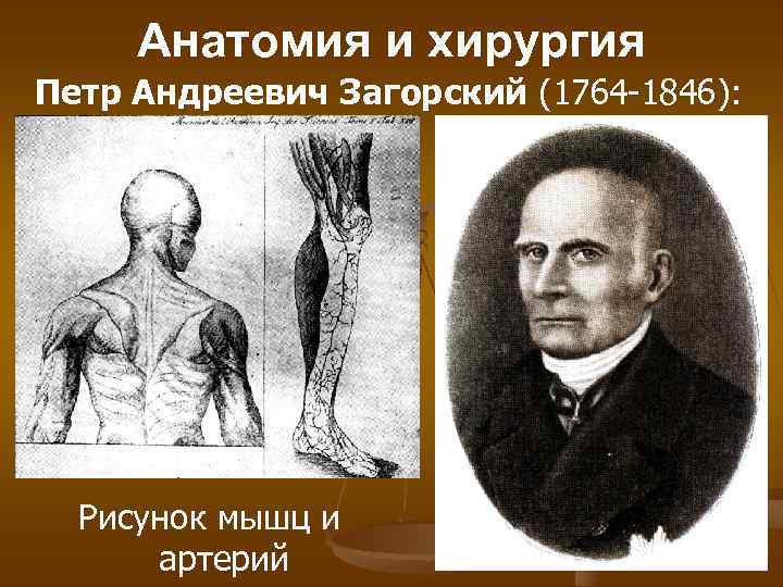 Анатомия и хирургия Петр Андреевич Загорский (1764 -1846): Рисунок мышц и артерий 