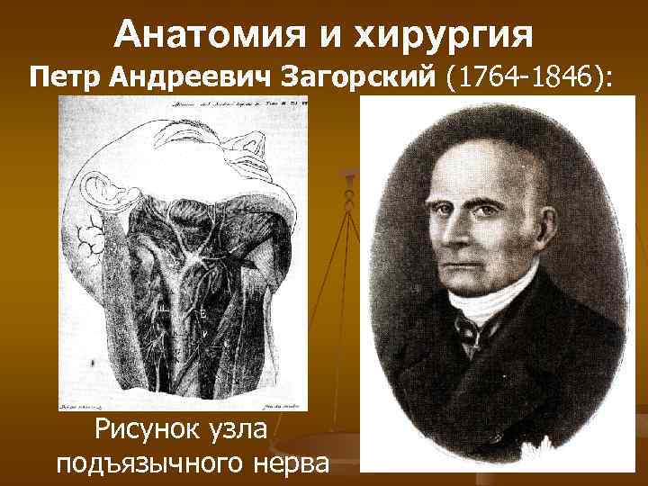 Анатомия и хирургия Петр Андреевич Загорский (1764 -1846): Рисунок узла подъязычного нерва 