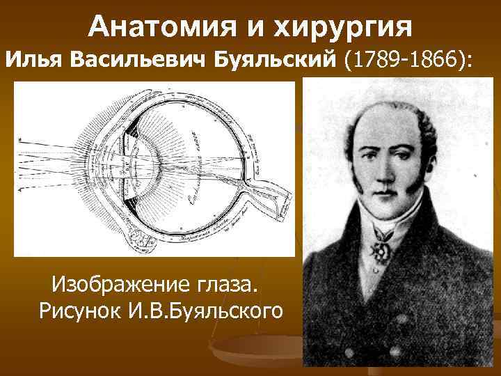 Анатомия и хирургия Илья Васильевич Буяльский (1789 -1866): Изображение глаза. Рисунок И. В. Буяльского
