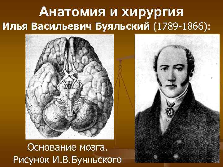 Анатомия и хирургия Илья Васильевич Буяльский (1789 -1866): Основание мозга. Рисунок И. В. Буяльского