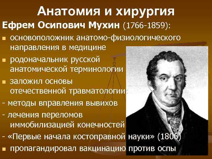 Анатомия и хирургия Ефрем Осипович Мухин (1766 -1859): основоположник анатомо-физиологического направления в медицине n