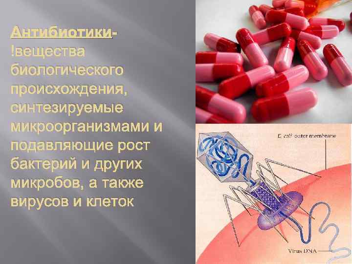 Антибиотики вещества биологического происхождения, синтезируемые микроорганизмами и подавляющие рост бактерий и других микробов, а